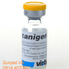 vaccin phòng 6 bệnh cho chó